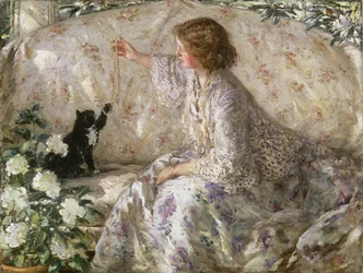 Hortênsias, 1901