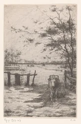 Vaca a ser ordenhada num pasto