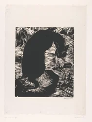 Gato preto a olhar por cima do ombro