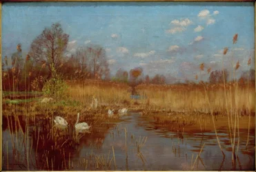 primavera