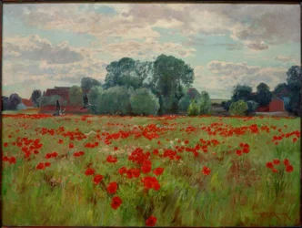 Prado dos gansos