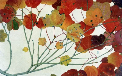 Folhas de Outono, de Philippe Robert, edições Robert Ried
