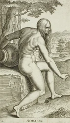 Acidalia