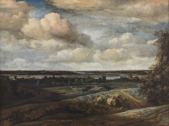 Paisagem panorâmica holandesa com vista distante de Haarlem