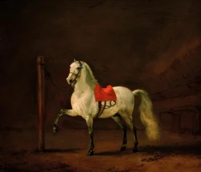 Um cavalo branco no estábulo