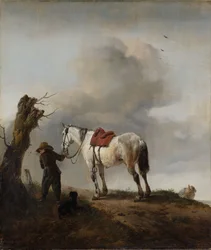 O cavalo cinza, c.1646