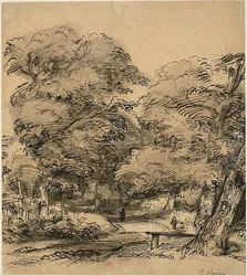 Um caminho na floresta
