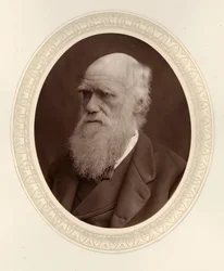Retrato de Charles Darwin 1809-1882, 1877.