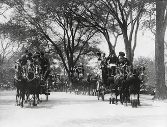 Coaching, Central Park (foto a p/b)