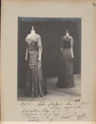 Página de Álbum: House of Worth, Vestido