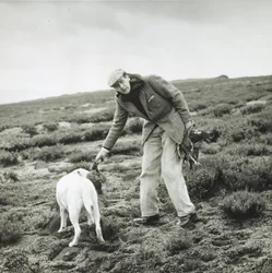 11.º duque de Devonshire numa caça ao lagópode em Bolton Abbey