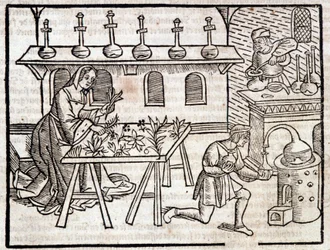 Medicina através das plantas e suas virtudes - in "Des profits champêtres et ruraux" de Pierre de Crescent, Paris
