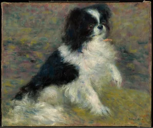 Tama, o cão japonês