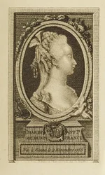 Maria Antonieta, Rainha
