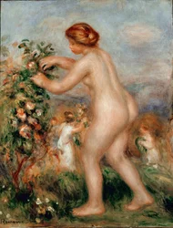 Hino das flores. A mulher nua ceuillating roses tem uma roseira. Pintura de Pierre Auguste Renoir (Pierre-Auguste