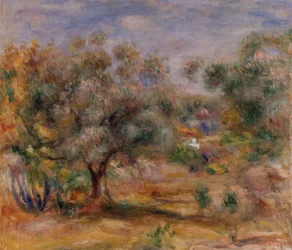 Oliveira em Les Collettes, c.1910-15 (óleo sobre tela)