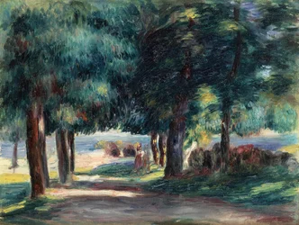 Caminho sob as árvores