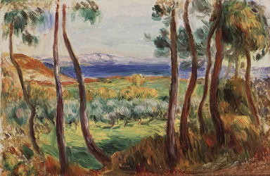 Pinheiros em torno de Cagnes, c. 1910.