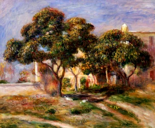 As árvores de nêspera