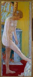 Nu Painting de Pierre Bonnard (1867-1947) Paris do século XX, museu municipal de arte moderna