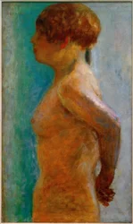 Torso da mulher no perfil