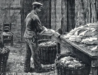 Couro: divisão de peles de coelho para fazer gravura de couro de "Excursion a travers les metiers" por Pierre Calmette Private Collection