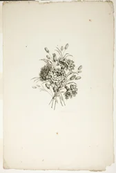 Buquê com Cravos, da Coleção de Diferentes Buquês de Flores, Inventado e Desenhado por Jean Pillement e Gravado por P. C. Canot