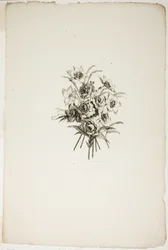 Buquê com Narcisos, da Coleção de Diferentes Buquês de Flores, Inventado e Desenhado por Jean Pillement e Gravado por P. C. Canot