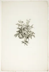 Bouquet com peónias, da coleção de diferentes ramos de flores, inventado e desenhado por Jean Pillement e gravado por P. C. Canot