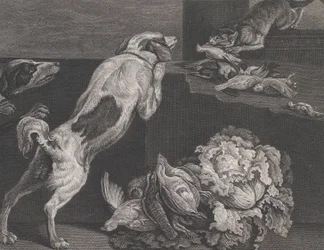 Cães e natureza morta, 1778