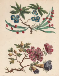 Duas Pinceladas de Flores Imaginárias
