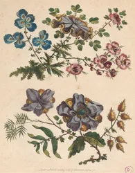 Duas Pinceladas de Flores Imaginárias