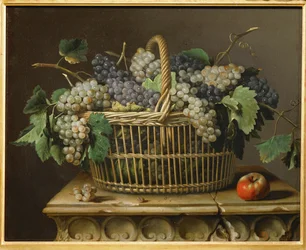 Panier de raisins - Um cesto de uvas ...