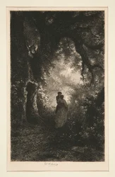 Silêncio e Noite do Bosque
