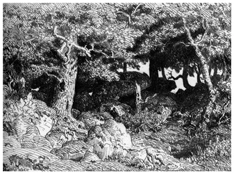 Les Chenes de Roche, c1832-1860, 1924