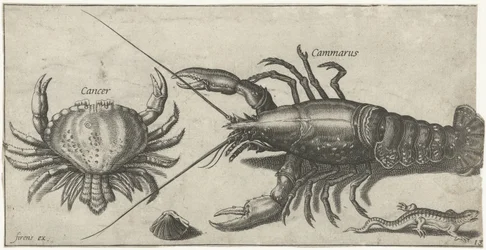 Lagosta, caranguejo, salamandra e uma concha Pesca (título da série) Ícones de Piscium vivae (título da série)
