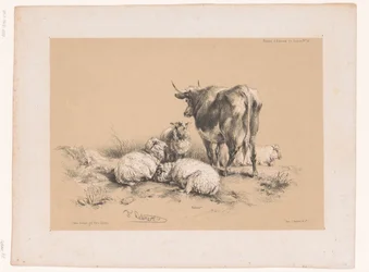 Estudos de quatro ovelhas e uma vaca
Estudos com animais por Cooper (título da série)
Études d