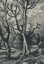 Terracine, 1919