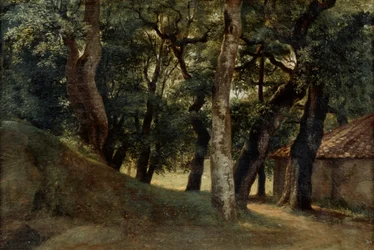 Floresta da Villa Borghese, final do século XVIII e XIX