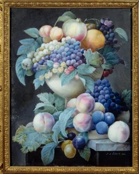 Uvas num copo. Pintura de Pierre Joseph Redoute (1759-1840)