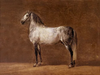 Cavalo do imperador Napoleão I: o Cheikh, pintura de Pierre Martinet