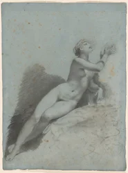 Vênus