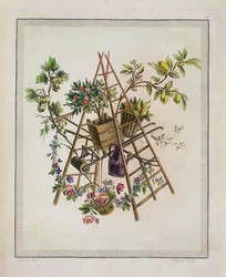 Um projeto têxtil de jardim, de Obra contendo uma Coleção de Trophees, Atributos, Cartuchos, Vasos, Flores, Ornemens e Vários Desenhos Agradáveis para Poltronas de Bordado, gravadas por Etienne C