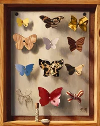 A Borboleta Não