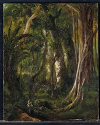 Viajantes em uma floresta cubana (óleo no painel)