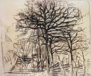 Estudo de árvores, de Piet Mondrian (1872-1944), desenho a carvão e branco de chumbo. Países Baixos, século XX.
