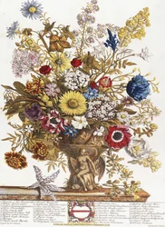 Novembro, de &39;Doze Meses de Flores&39;