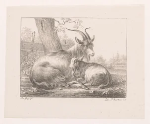 O corço e o cabrito na paisagem