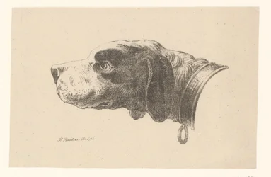 Cabeça de cão com coleira