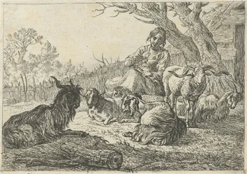 Pastora no meio de cabras e ovelhas
Vários animais (título da série)